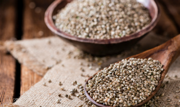 Hemp Seed & its Health Benefits!