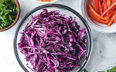 Red Cabbage & Carrot Salad with Mango